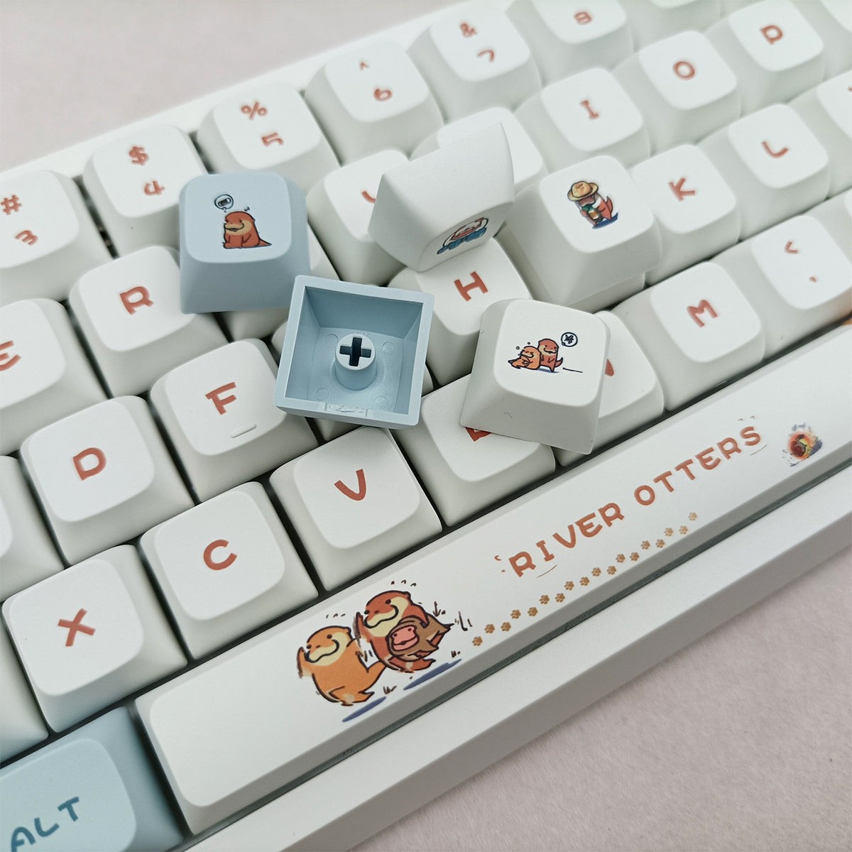 XDA Dye-Sub PBT Keycap Set - Otter - KeyCapUS